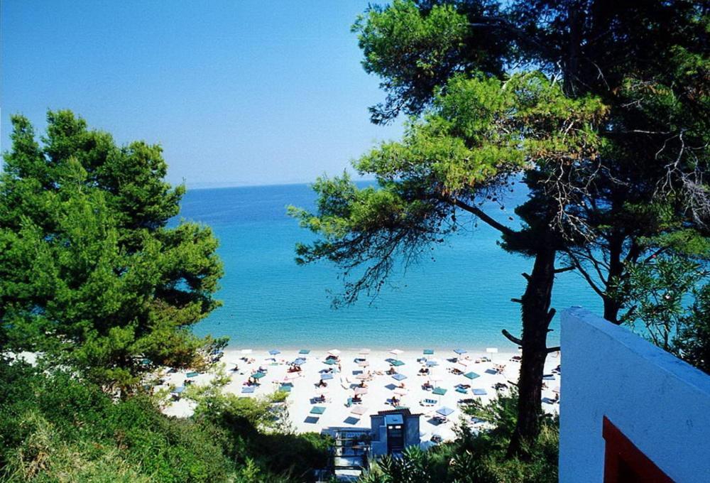 Hotel Pashos Κρυοπηγή Εξωτερικό φωτογραφία