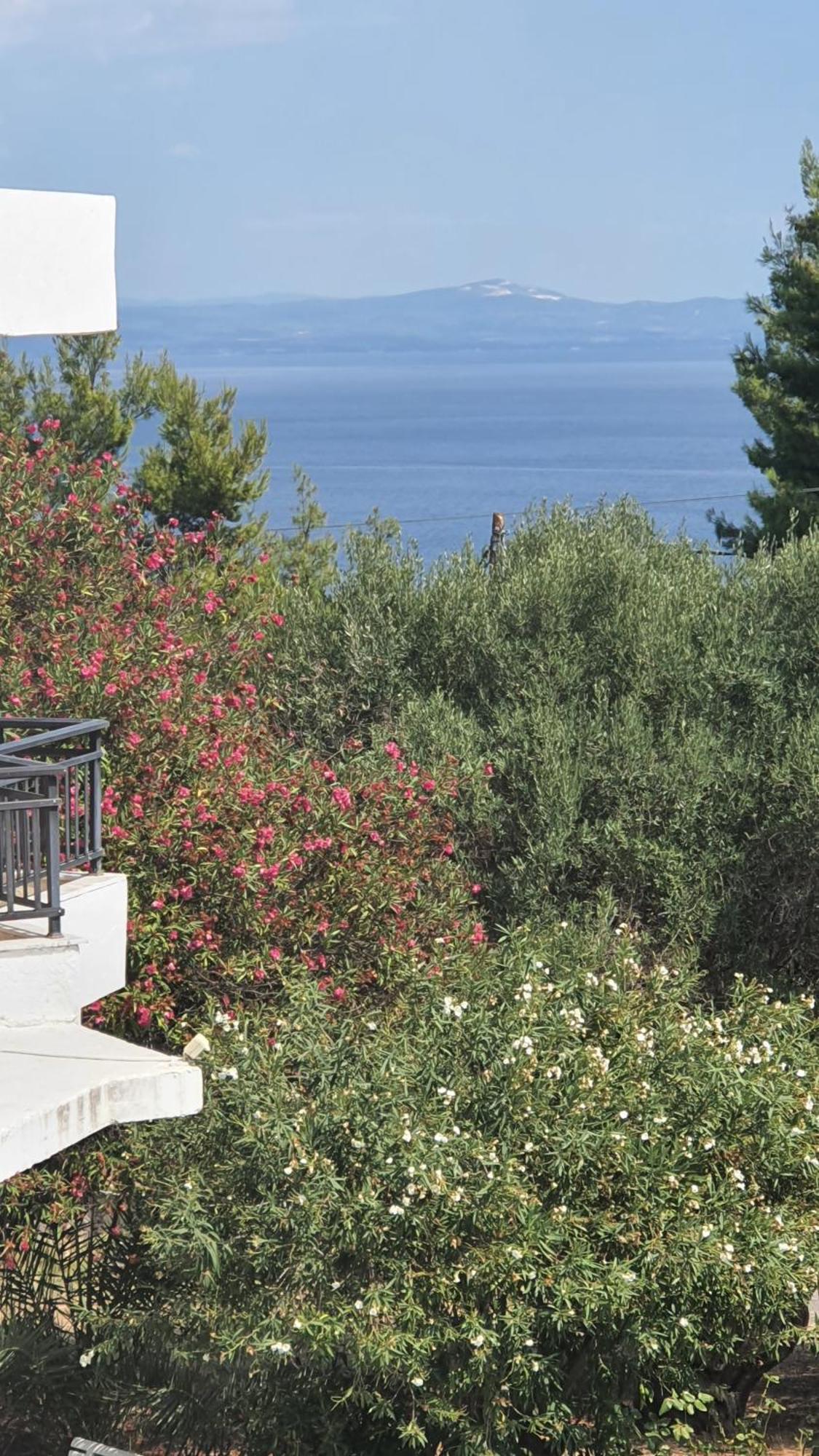 Hotel Pashos Κρυοπηγή Εξωτερικό φωτογραφία